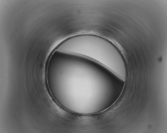 X0000091470894200708161125