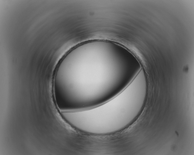 X0000091470896200708161125