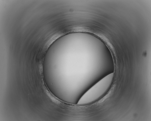 X0000091470897200708161125