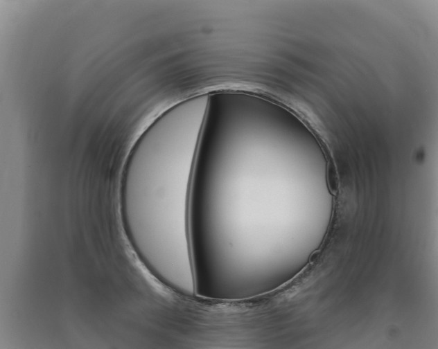 X0000091470898200708161125