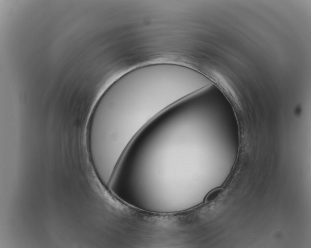 X0000091470900200708161125