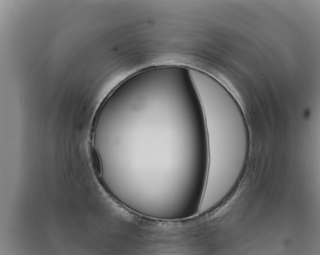 X0000091470901200708161125