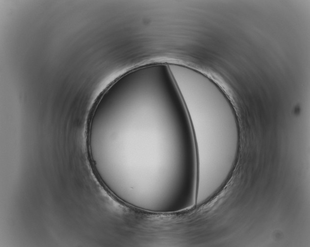 X0000091470902200708161125