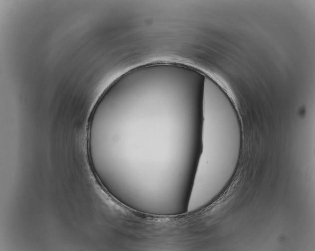 X0000091470903200708161125