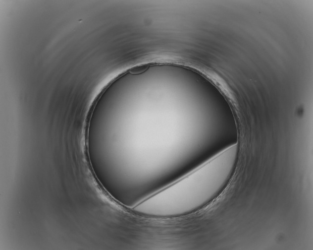 X0000091470904200708161125