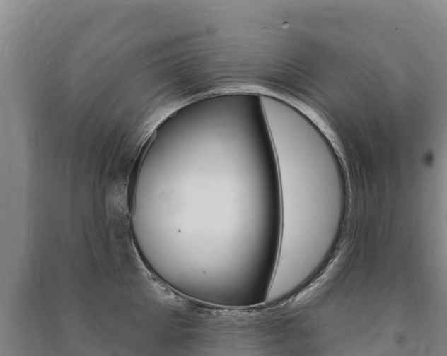 X0000091470905200708161125