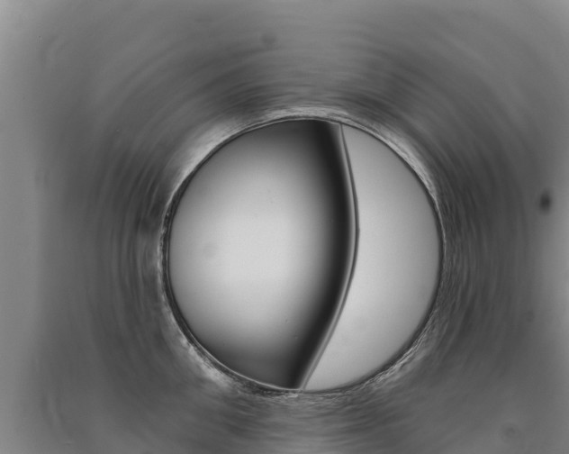 X0000091470906200708161125