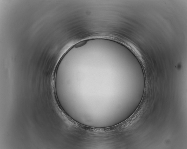 X0000091470907200708161125