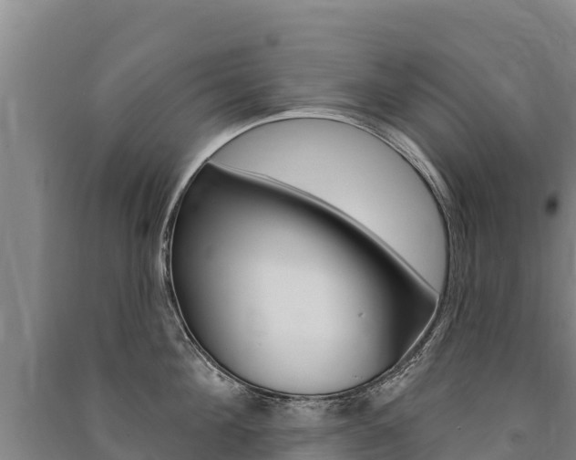 X0000091470908200708161125