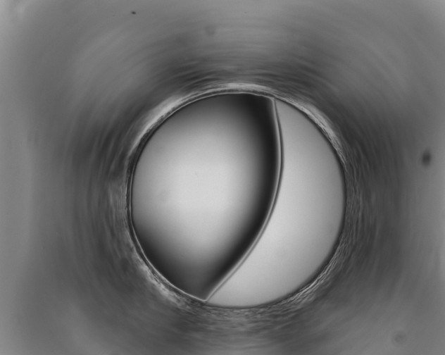 X0000091470910200708161125