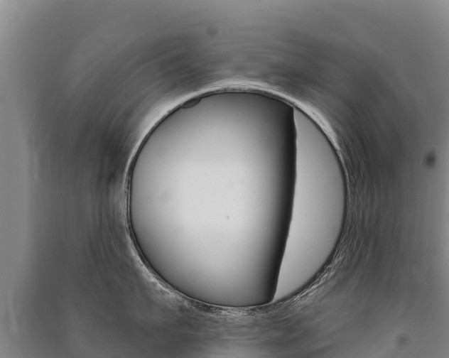 X0000091470911200708161125