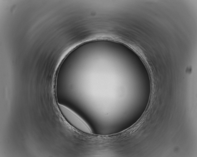 X0000091470912200708161125