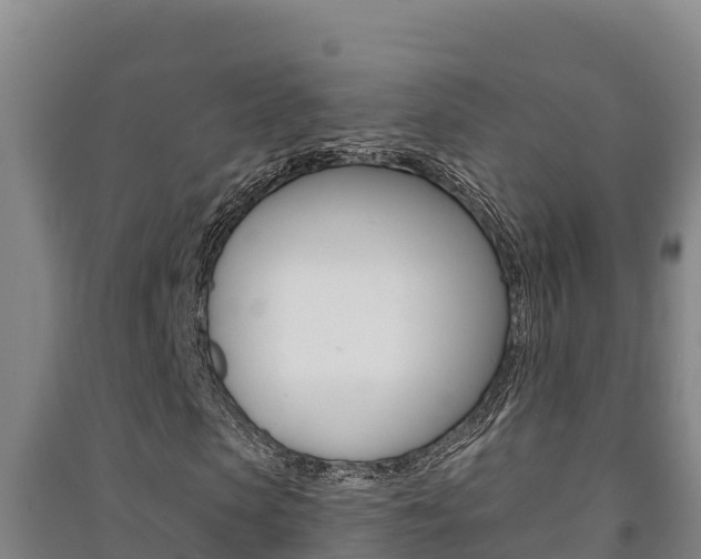X0000091470913200708161125