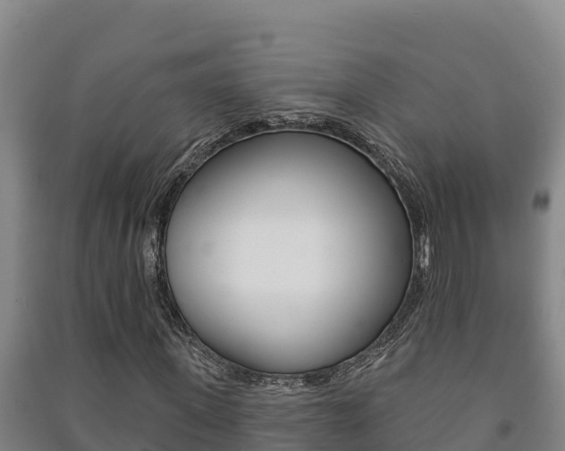 X0000091470915200708161125