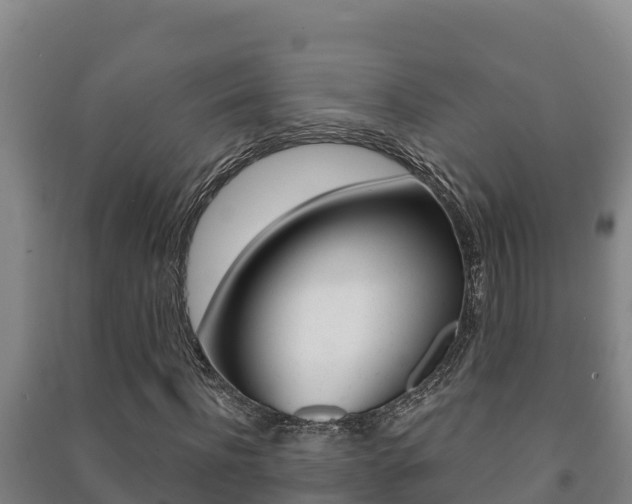 X0000091470916200708161125
