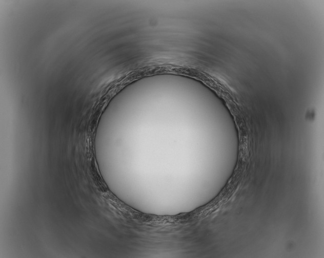 X0000091470917200708161125