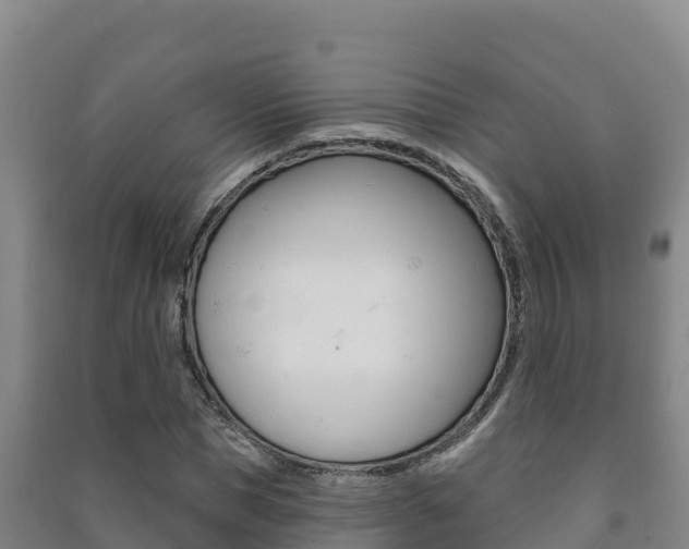 X0000091470921200708161125