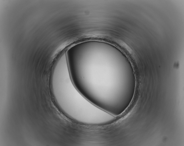 X0000091470922200708161125