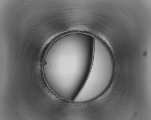 X0000091470923200708161125
