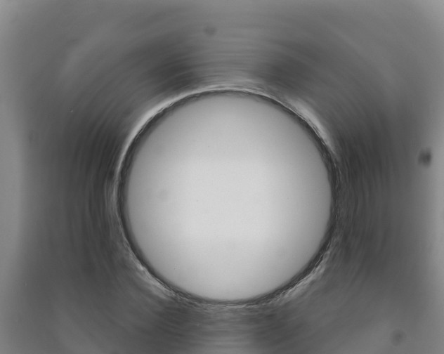 X0000091470924200708161125
