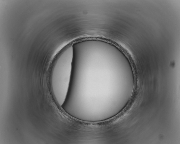 X0000091470925200708161125