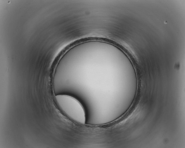 X0000091470926200708161125