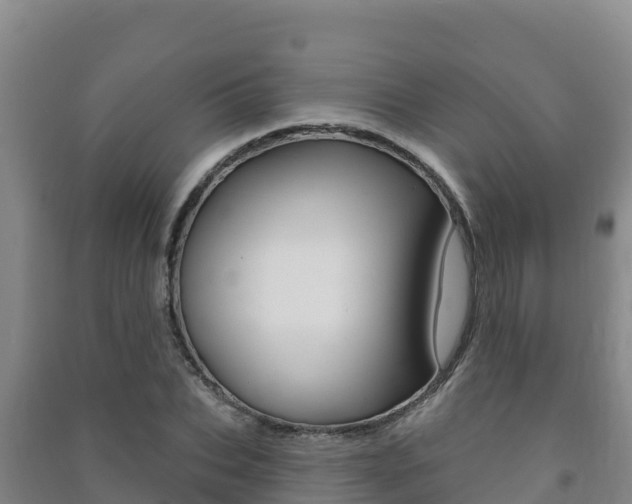 X0000091470927200708161125