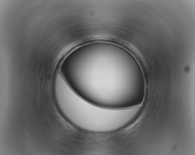 X0000091470930200708161125