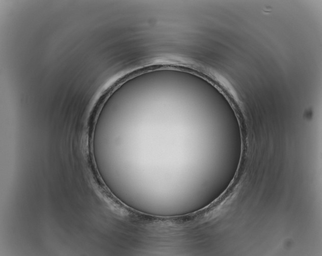 X0000091470931200708161125