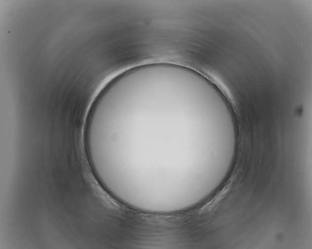 X0000091470932200708161125