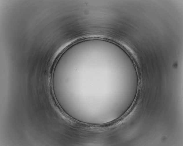 X0000091470933200708161125