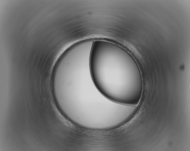 X0000091470934200708161125