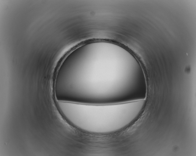 X0000091470935200708161125