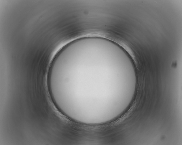 X0000091470936200708161125