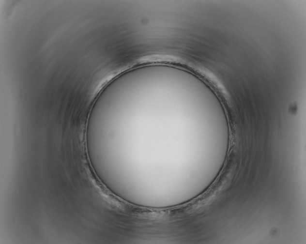 X0000091470937200708161125