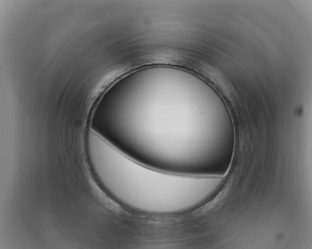X0000091470938200708161125