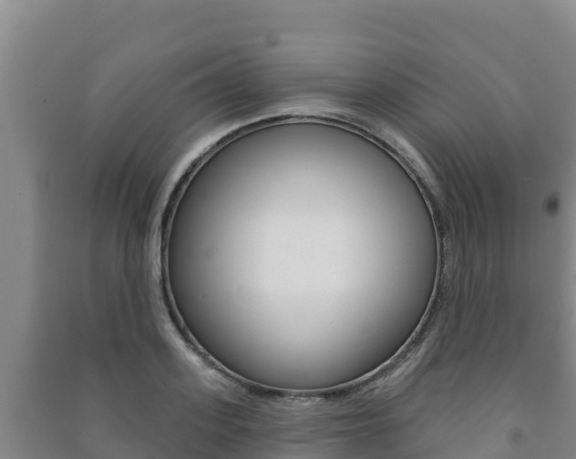 X0000091470939200708161125