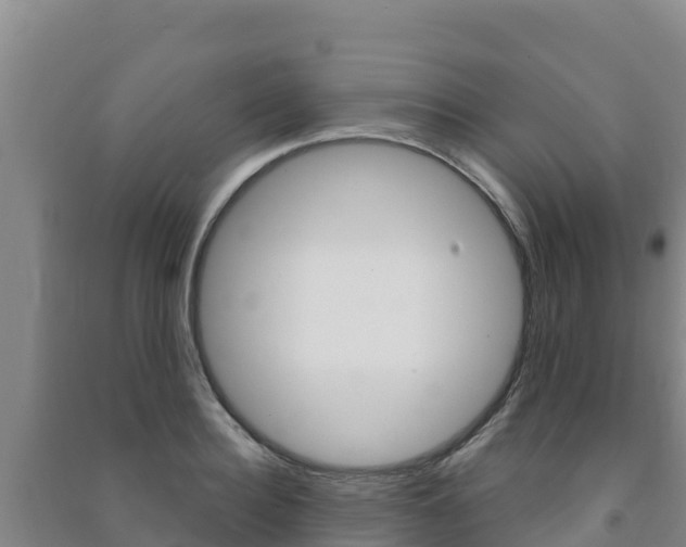 X0000091470940200708161125