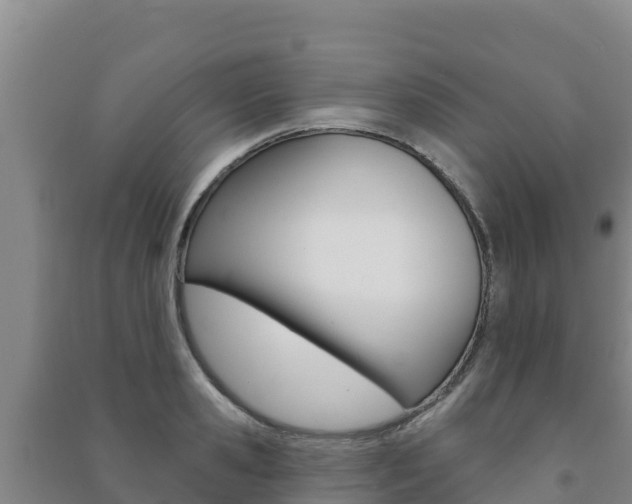 X0000091470941200708161125