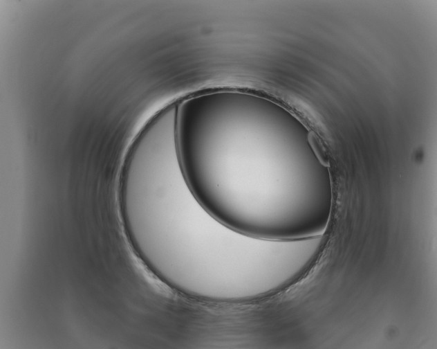 X0000091470942200708161125