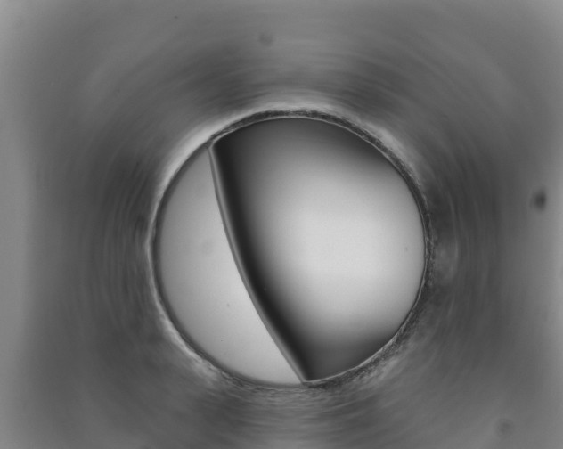 X0000091470943200708161125