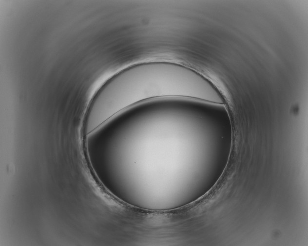 X0000091470944200708161125