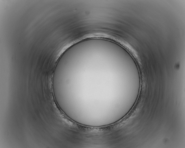 X0000091470945200708161125