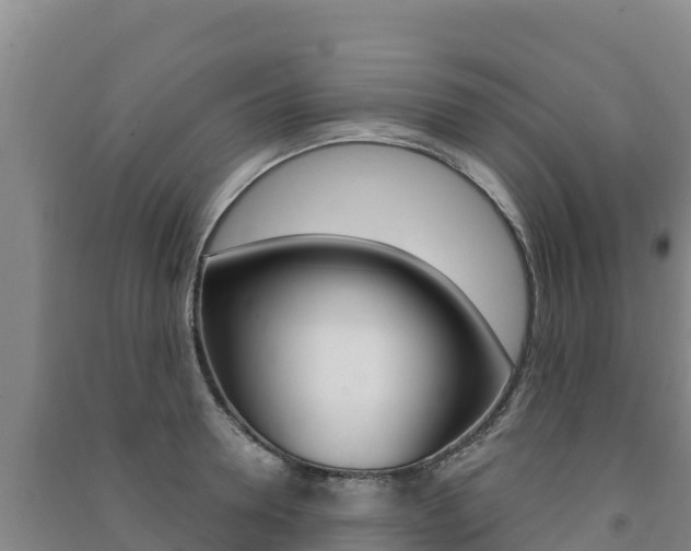 X0000091470946200708161125