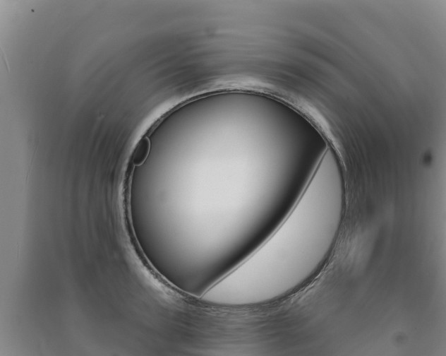 X0000091470947200708161125