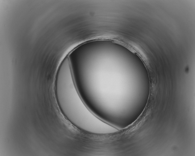 X0000091470948200708161125