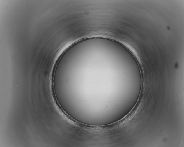 X0000091470949200708161125
