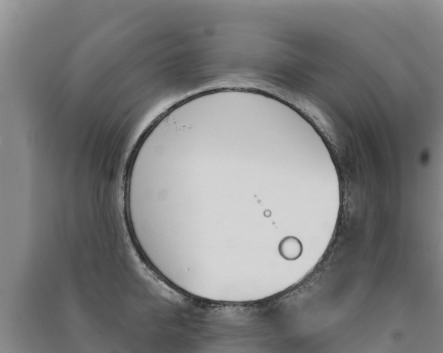 X0000091470950200708161125