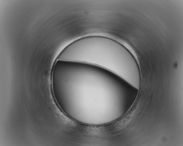 X0000091470951200708161125