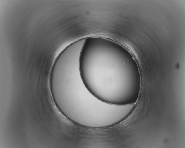 X0000091470952200708161125